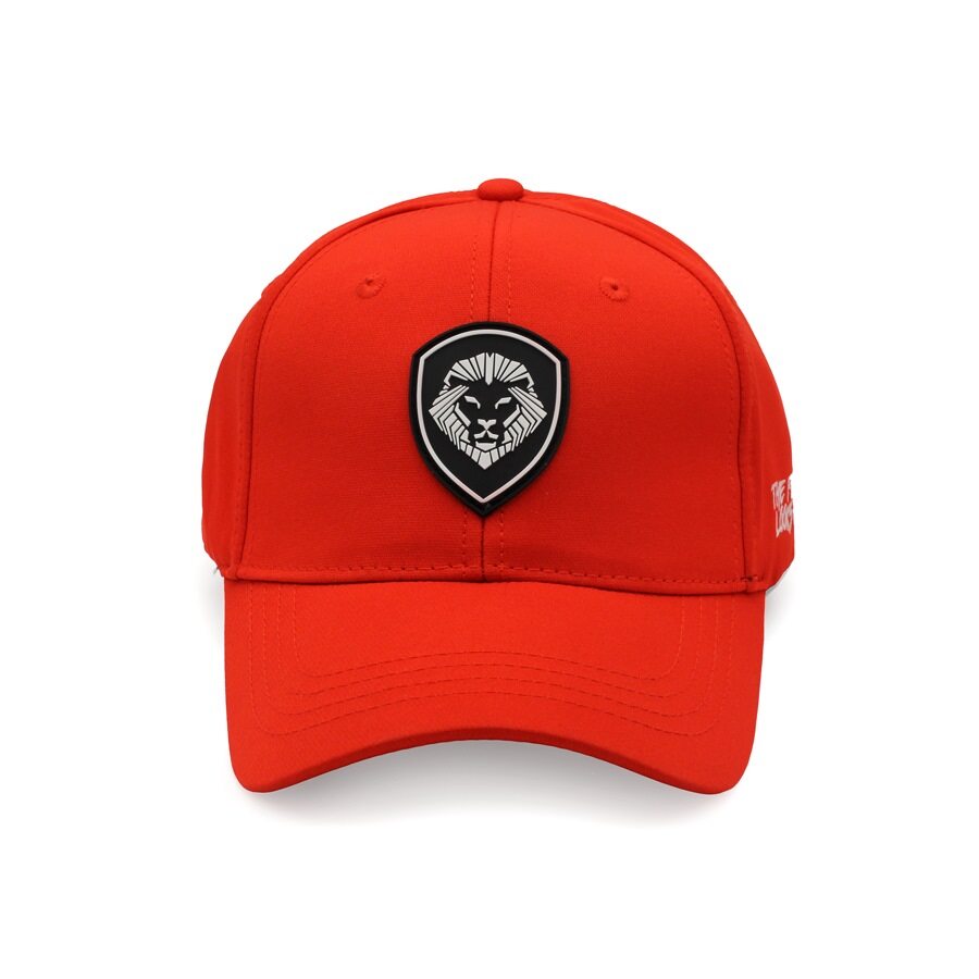 VT Lion Shield Logo Flex Fit