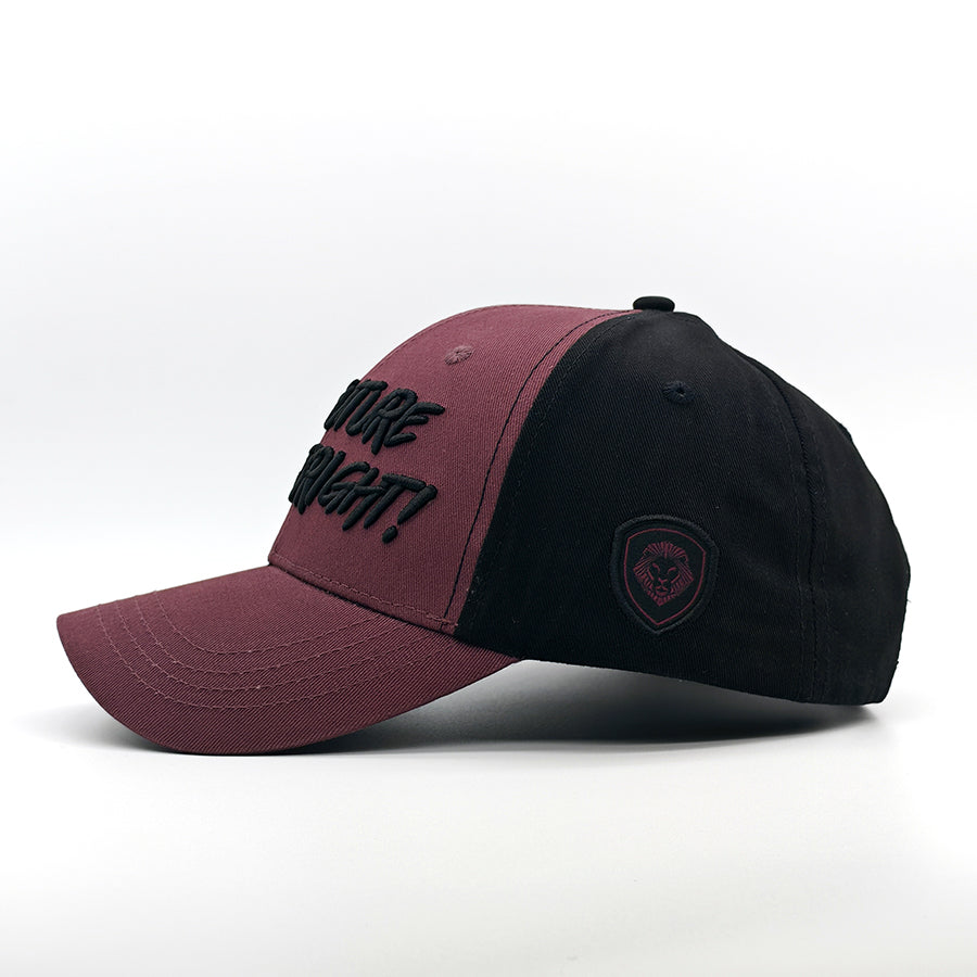 VT Future Looks Bright Hat
