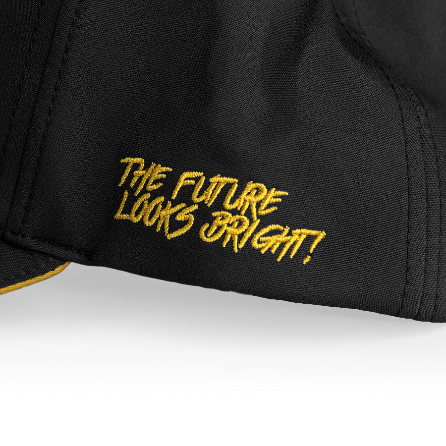 VT Lion Shield Logo Flex Fit Hat