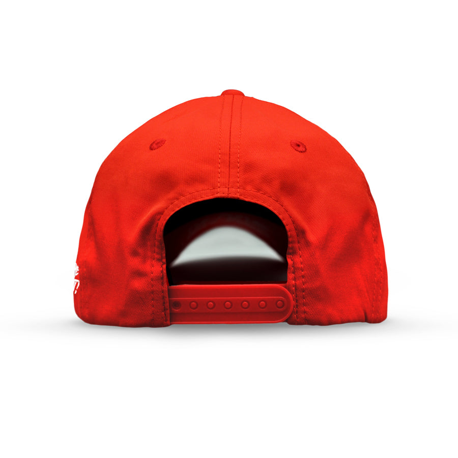 VT Lion Shield Logo Hat