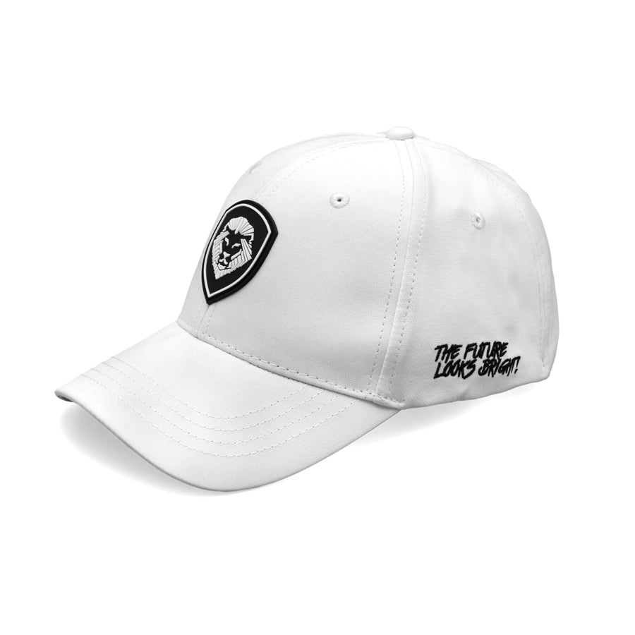 VT Lion Shield Logo Flex Fit Hat