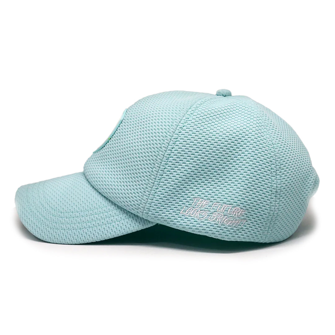 VT Lion Shield Logo Performance Hat