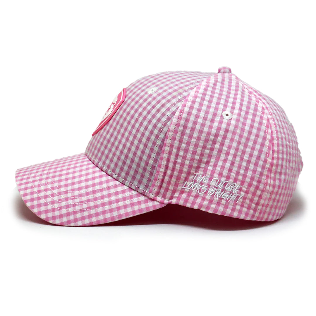 VT Lion Shield Logo Check Hat
