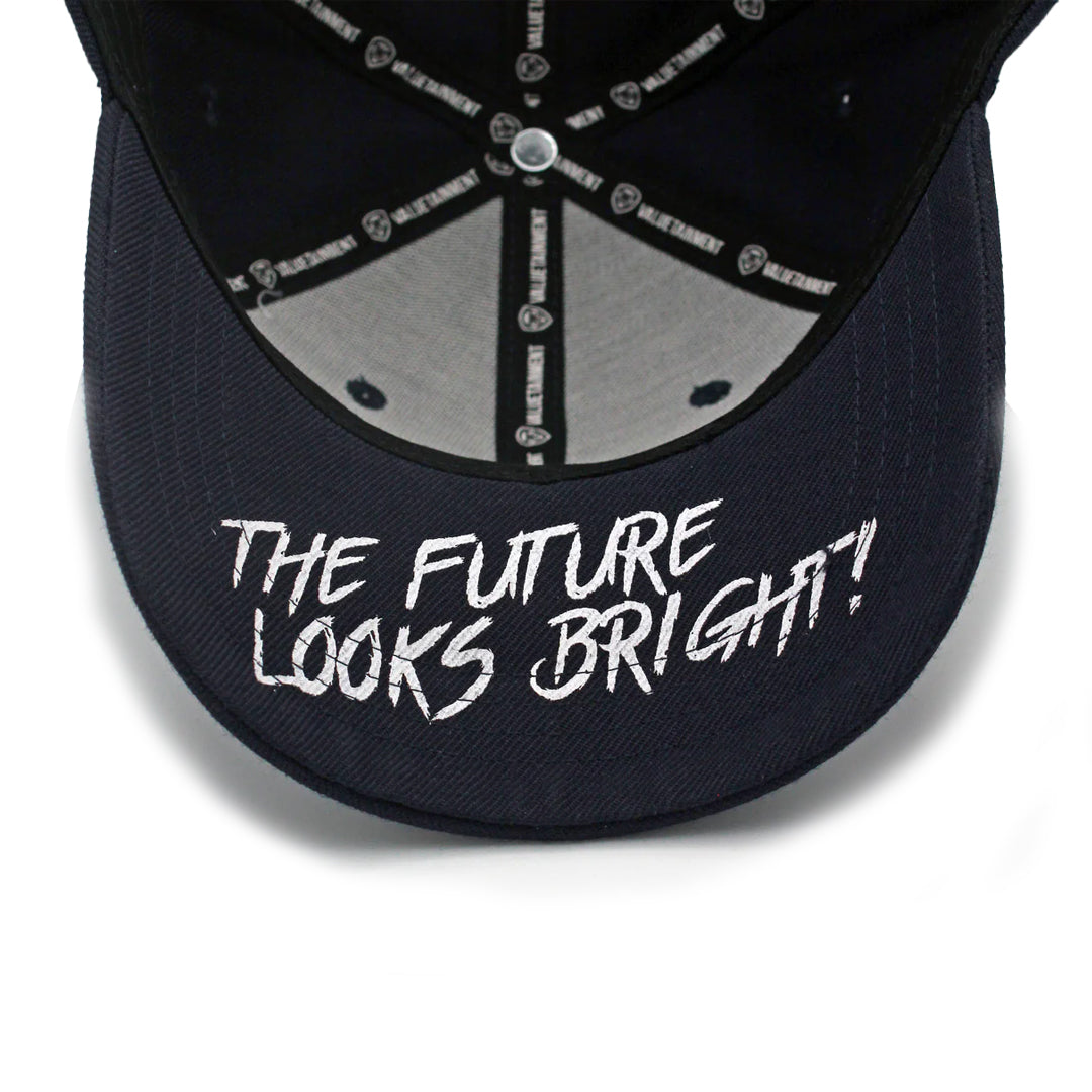 VT Lion Shield Logo Hat