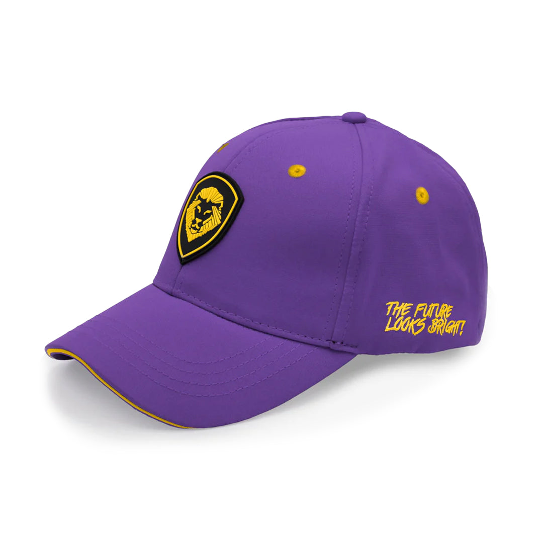 VT Lion Shield Logo Hat