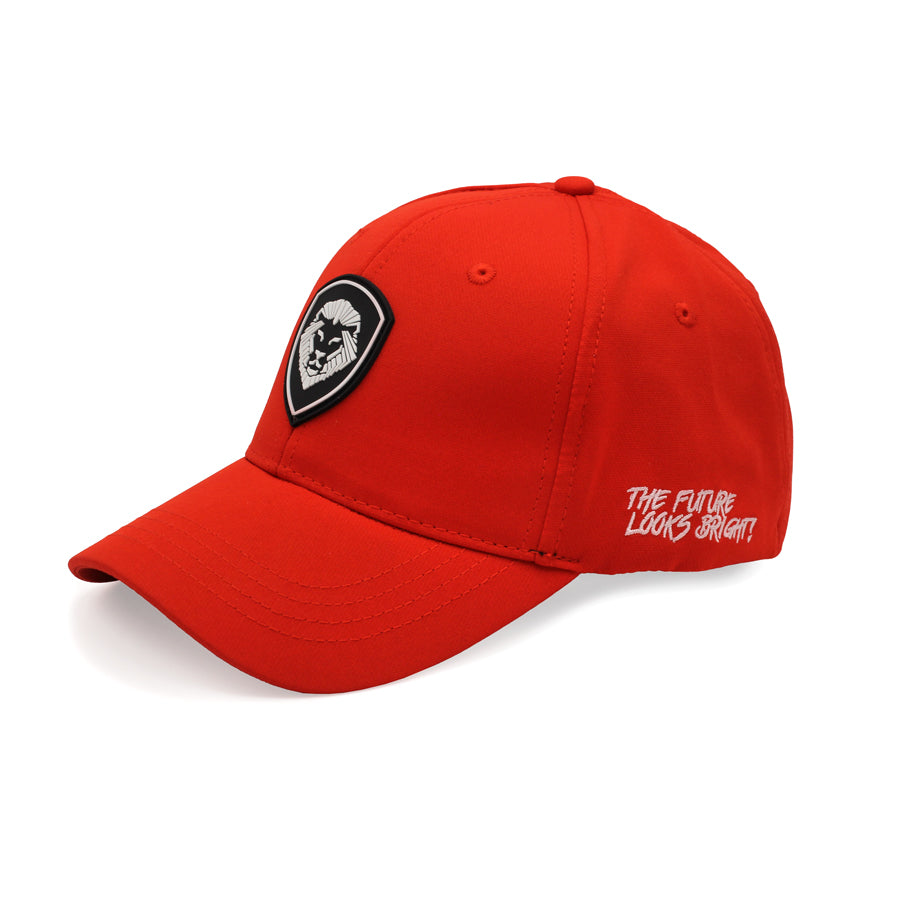 VT Lion Shield Logo Hat