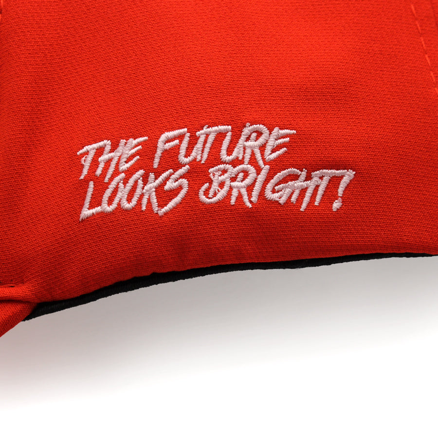 VT Lion Shield Logo Hat