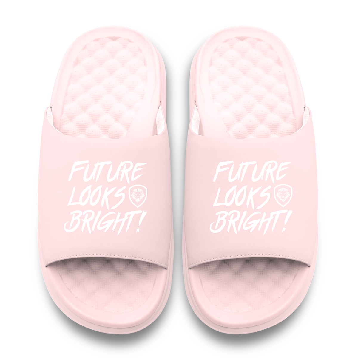 VT Gel Slides