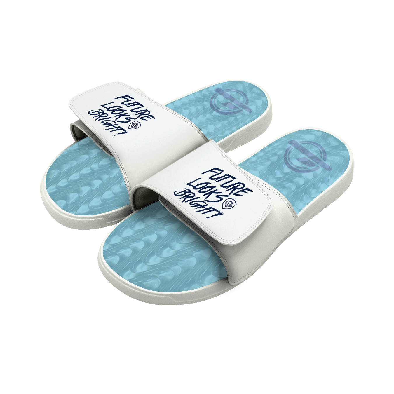 VT Gel Slides