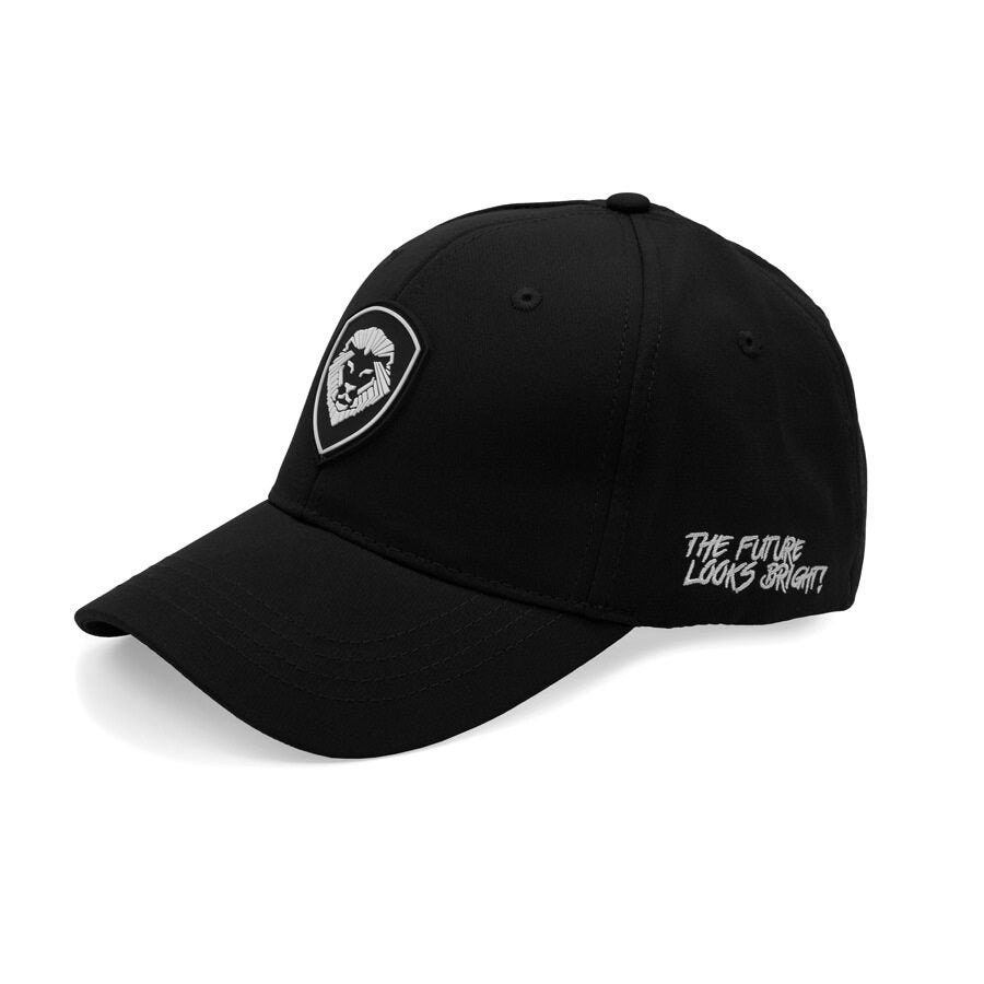 VT Lion Shield Logo Flex Fit Hat